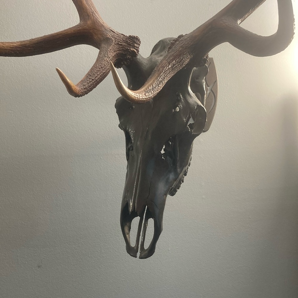 Meet your Posher, Brylie